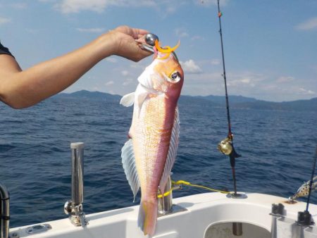 アマラバリベンジマッチ〜アルカディアⅡ〜