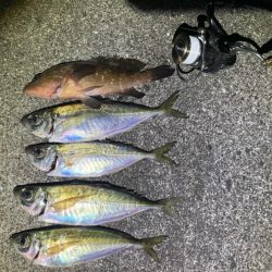 下げ潮アジング