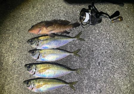 下げ潮アジング