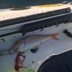 カヤックフィッシング