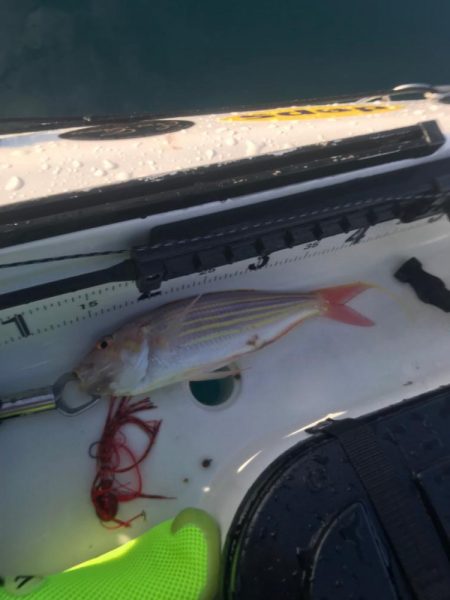 カヤックフィッシング