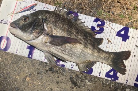 ナイトチニングゲーム