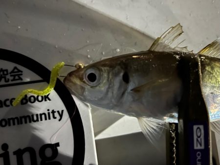 まだまだいけそうですね