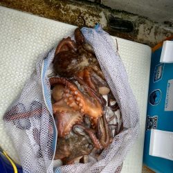 型が揃ってきました