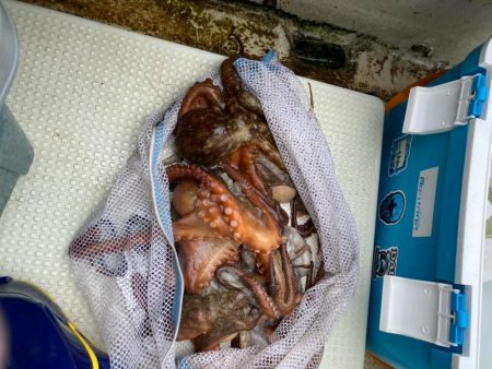 型が揃ってきました