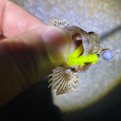 ドン引きする程の激渋