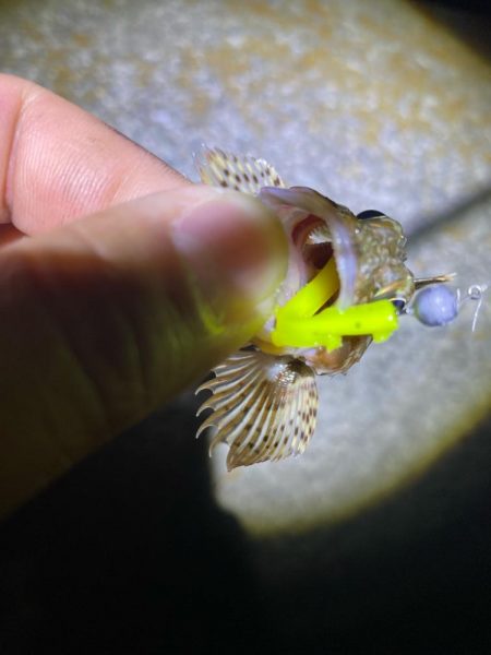 ドン引きする程の激渋