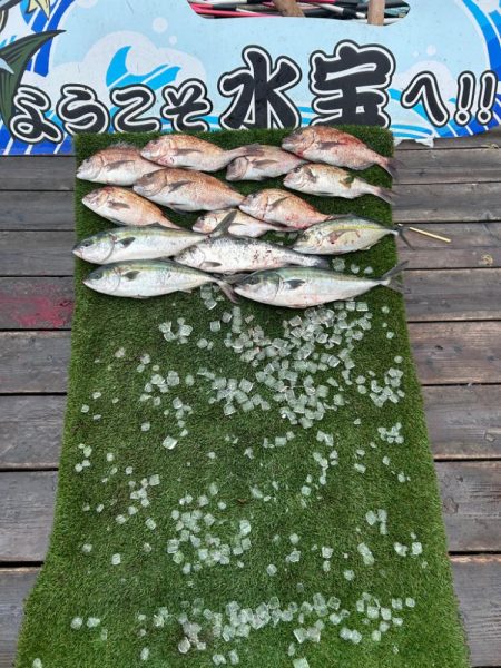 海上釣堀　水宝