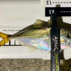 居残り組を釣る!😔