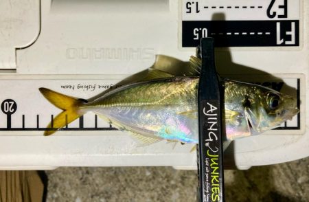 居残り組を釣る!😔