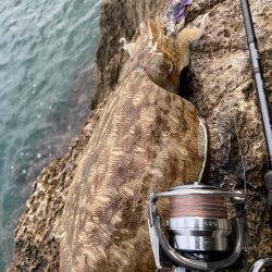 思ったところで^_^