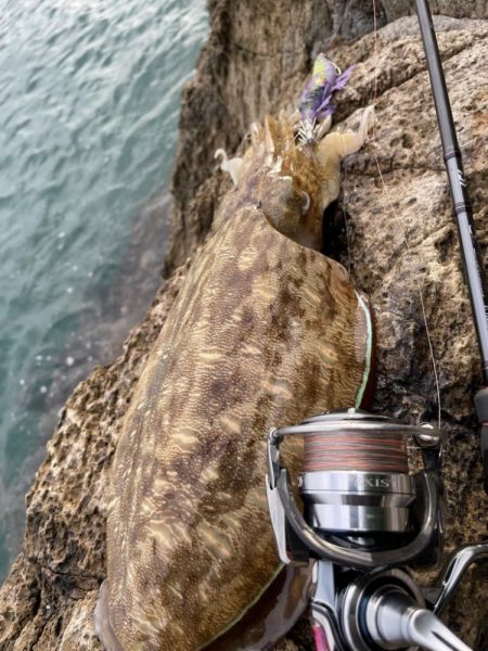 思ったところで^_^