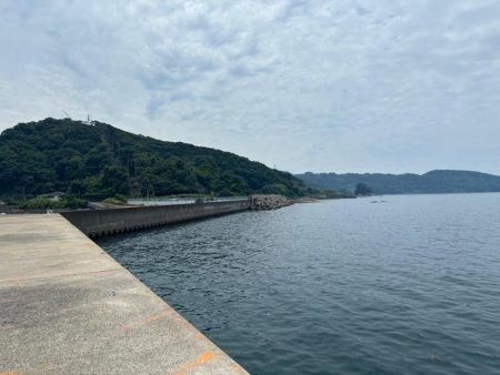 ガシラ(アラカブ)③