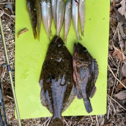 キス狙いで多彩&嬉しいゲスト