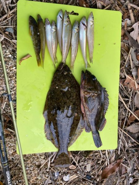 キス狙いで多彩&嬉しいゲスト