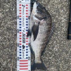 もう少しで大台