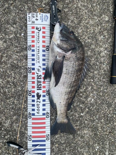 もう少しで大台