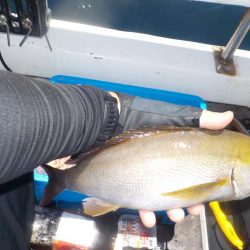 完全フカセ第2戦〜倉丸〜