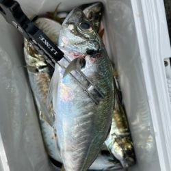 出勤時間遅め( ・∇・)