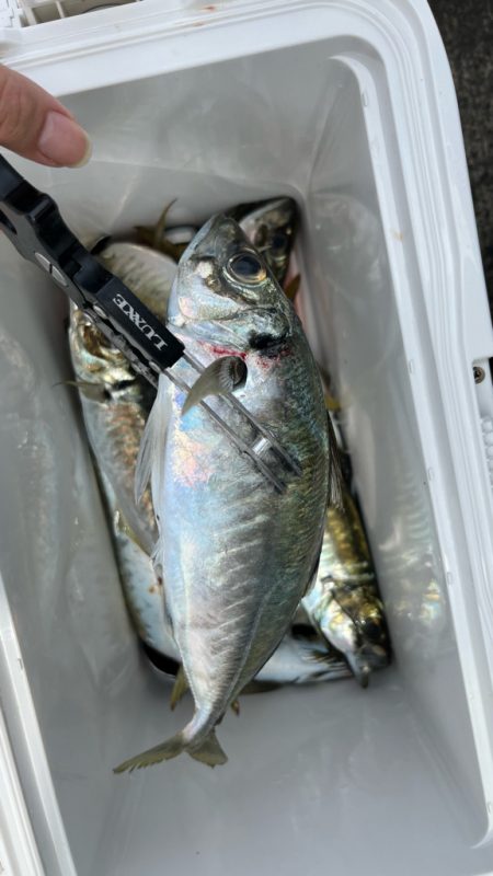 出勤時間遅め( ・∇・)