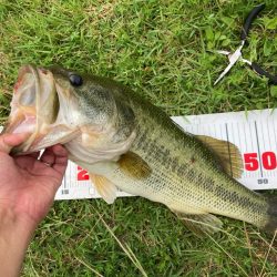 全開放流でいいサイズが出ました