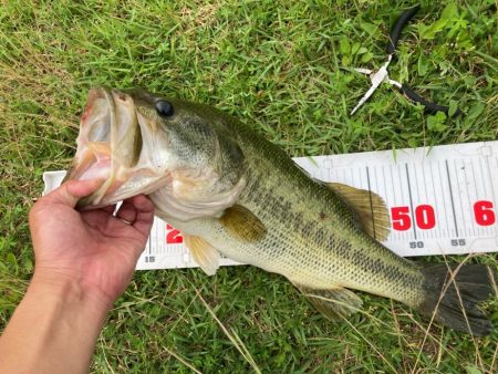 全開放流でいいサイズが出ました