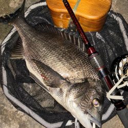 ヘチってきました