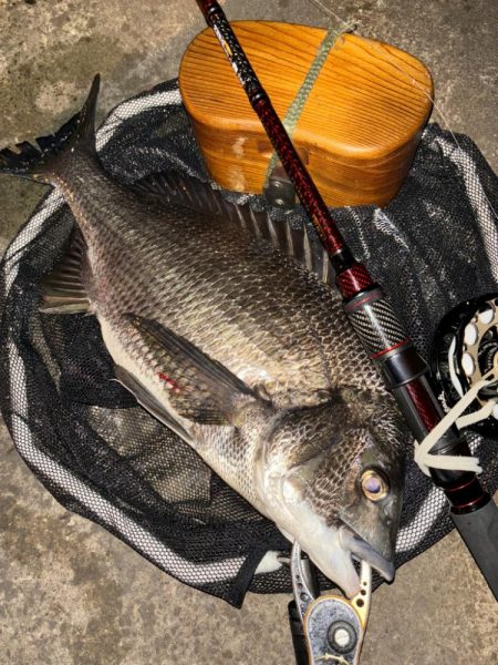 ヘチってきました