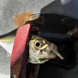 雨の中の表層パターン