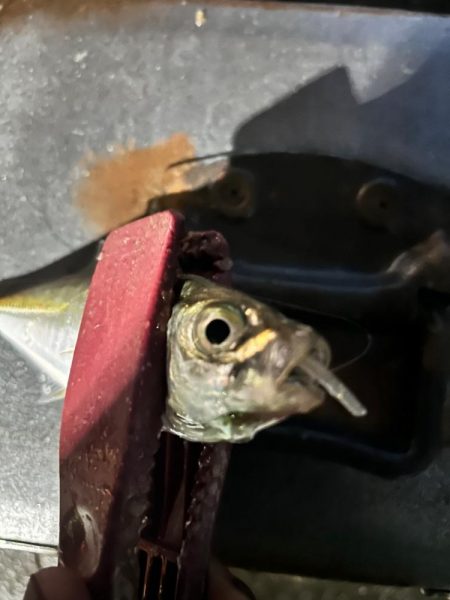 雨の中の表層パターン