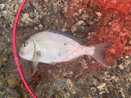 久しぶりの磯釣り
