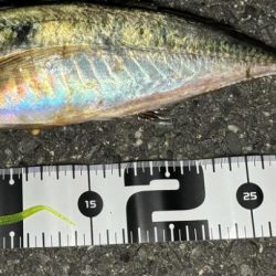 ロックアジング