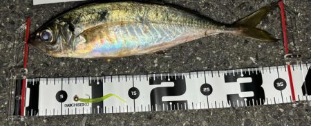 ロックアジング