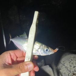 地底湖から覗く目