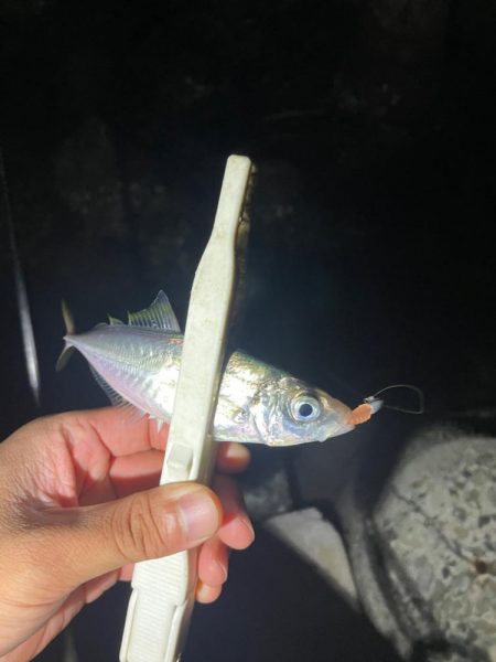 地底湖から覗く目