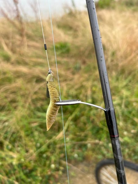 雨の中のチニング！