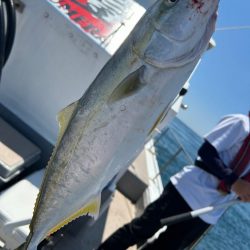 タイラバからのジギング 鳴門