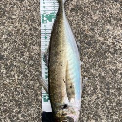 自己ベスト( ・∇・)