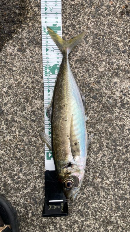 自己ベスト( ・∇・)