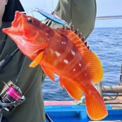 スーパーライトジギング