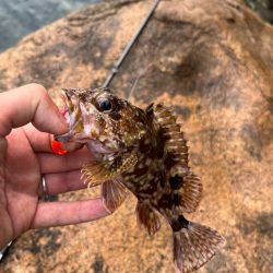 小浜ライトロック