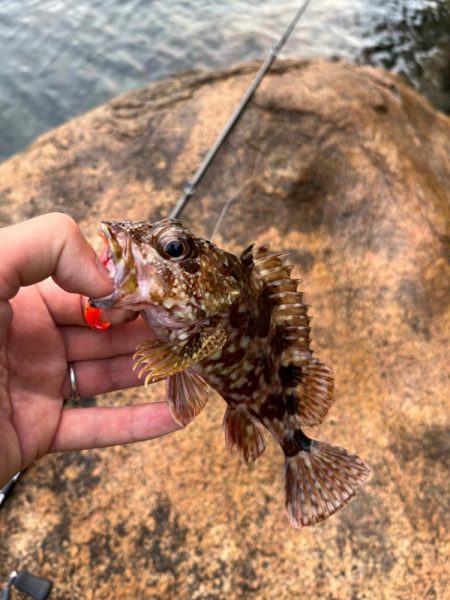 小浜ライトロック