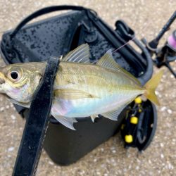 ちょっと様子見のつもりが‼︎