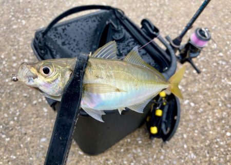 ちょっと様子見のつもりが‼︎