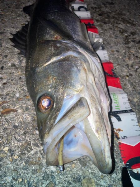 2024ライトゲーム第21戦