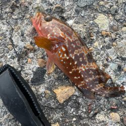 梅雨入る前に練習へ