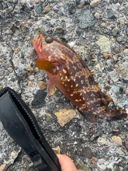 梅雨入る前に練習へ