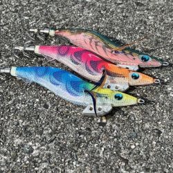 今年の春イカエギングはボウズ無し