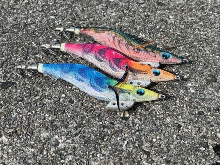 今年の春イカエギングはボウズ無し