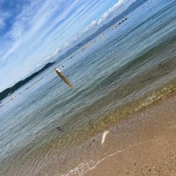 離島でエギング撃沈｜離島キスもイマイチで本土で残業